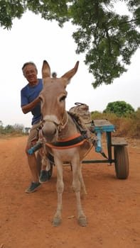 Me and my donkey